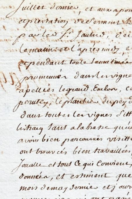 extrait de l'expertise des vignes de Lestage effectuée après la grande gelée de mai 1750, pendant le grand procès de la succession Motmans