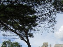 château Poyanne